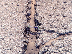 Close-up photo of a single high-severity crack.  The crack is sealed, but very wide (i.e., greater than 1 in (25 mm).